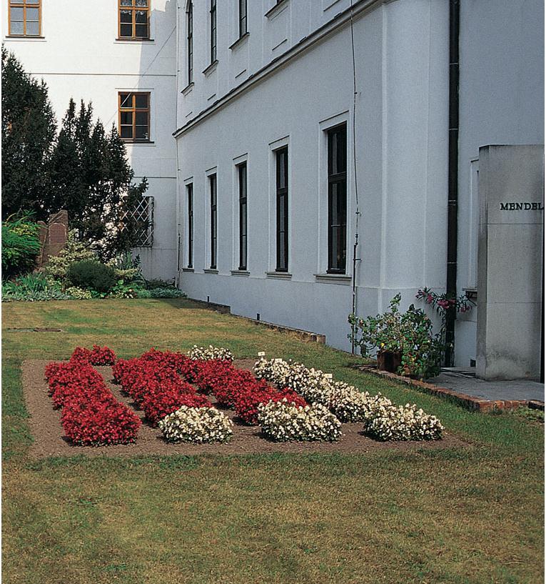 Site of Gregor Mendel s