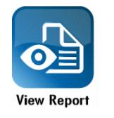 View summary report