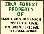 History of Zika virus Initially isolated in 1947 from blood of a febrile sentinel rhesus monkey during a yellow fever study in the Zika