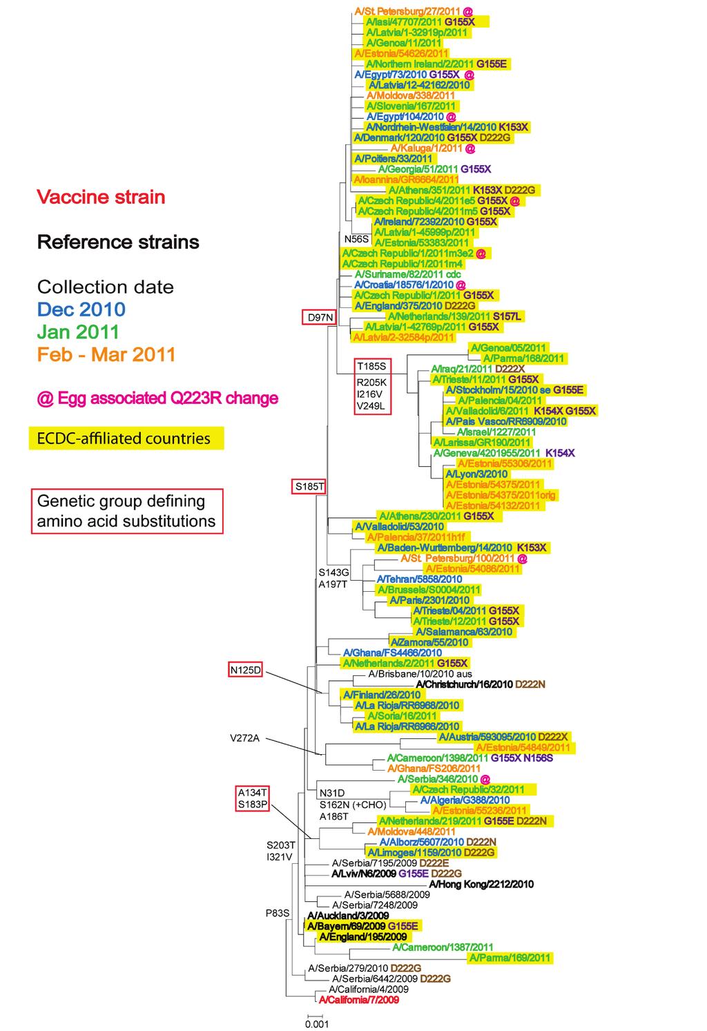 Figure 1 Phylogenetic comparison of