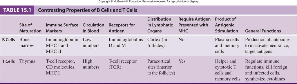 B Cells and T Cells