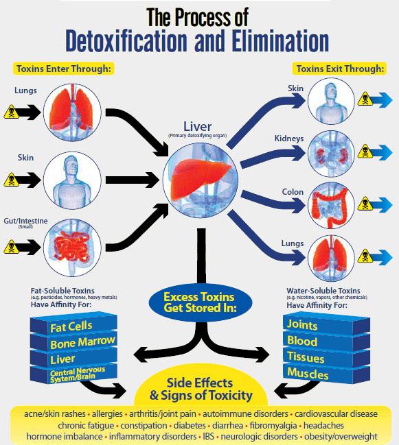 PRocess of DETOXIFICATION & ELIMINATION Arbonne products focus on the process of detoxification & elimination. When you choose Arbonne, you choose health.