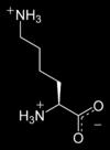 decarboxylase Lysine H 2 N(CH 2 ) 5 NH 2 Cadaverine