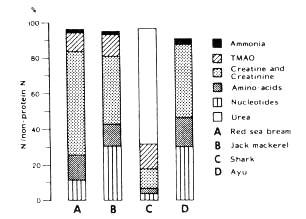 NPN fraction Distribution of non-protein nitrogen in fish muscles of two marine bonyfish (A,B),