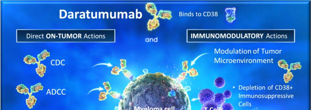 Bckground Drtumumb Humn monoclonl ntibody trgeting CD38 Direct on-tumor nd immunomodultory MoA -5 Approved As monotherpy for hevily pretreted RRMM by the FDA, EMA, Helth Cnd, Mexico, nd Singpore