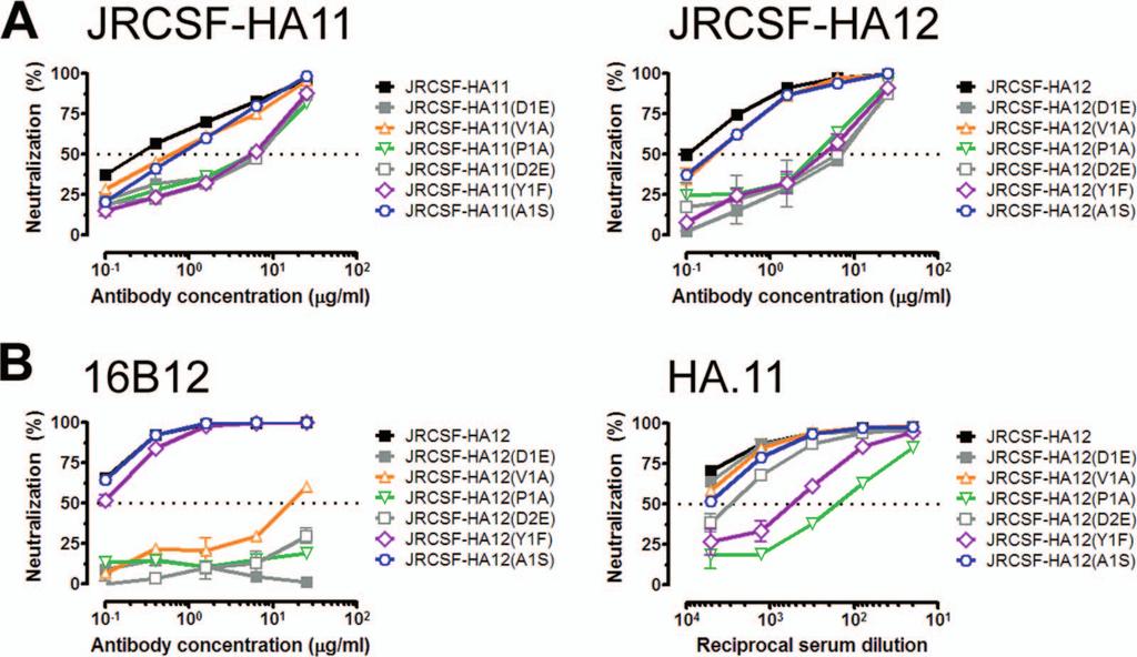 VOL. 83, 2009 RESTRICTED NAb RECOGNITION OF THE HIV-1 SPIKE 1655 FIG. 6. Anti-HA MAbs and serum differ slightly in their fine specificities for the HA epitope tag.