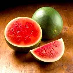 Watermelon BOTANY Citrullus vulgaris Schrader or Citrullus lanatus belongs to the Cucurbitaceae family, and it is commonly known as watermelon.