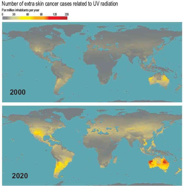affected by the ozone hole These areas get 3-10% more UV-B