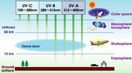 UV-C: completely blocked by ozone UV-B:~