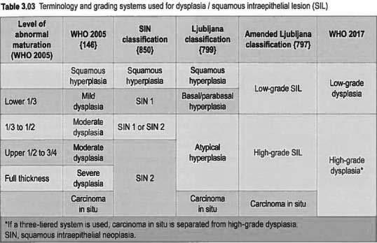 Grading Keratinizing Dysplasia No statistical difference in progression to invasive SCC between keratinizing moderate dysplasia and keratinizing severe dysplasia/cis Justification to 2-Tier