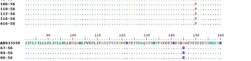Direct Sequencing Results of HBV surface Protein obtained from
