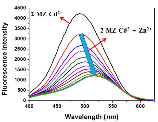 Electronic Supplementary Material (ESI) for RS Advances Spectrum changes of 2-MZ-d 2 upon addition of Zn 2 Fig.