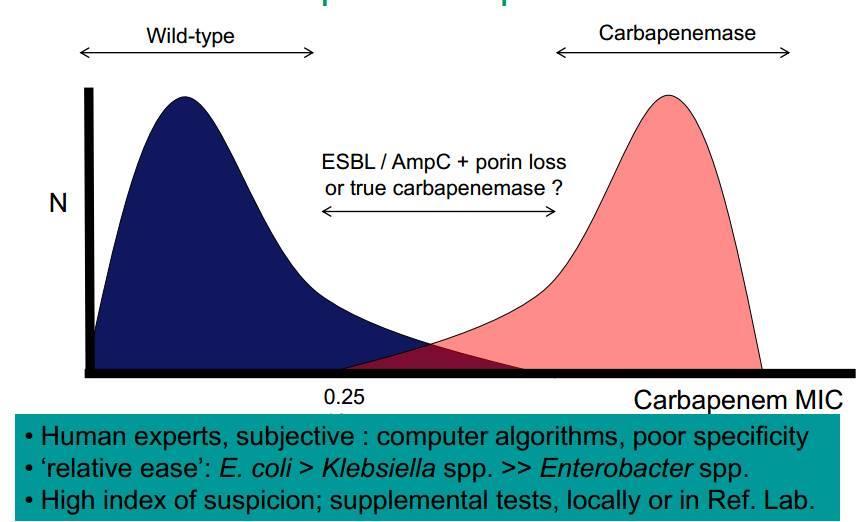 Problem with spotting the carbapenemase producers Enterobacteriaceae with ESBL or AmpC enzymes may lose outer membrane porins (through mutations or other disruptions in