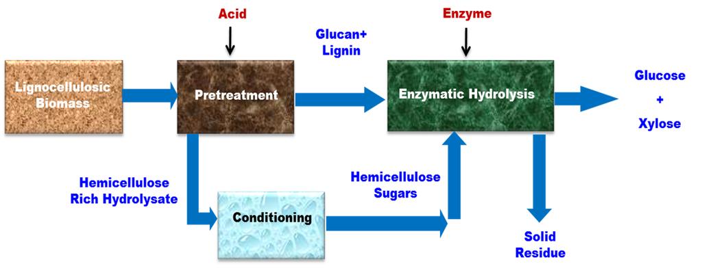 Figure 2.4: Lignocellulosic biomass to monomeric sugars through acid pretreatment 2.3.4.2. Alkaline pretreatment In alkaline pretreatment reagents such as calcium hydroxide, sodium hydroxide and ammonia have been employed for many years (Iyer et al.