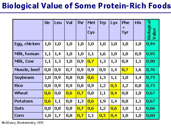 Proteins in food differ in their amino acid makeup. This variation results in differing "biological" valves as amino acid sources. Food types that have proteins most like our own are most "valuable".