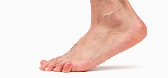 Foot function and falls Ankle Foot ROM Strength Sensitivity Proprioception Minimum foot clearance Fall risk Reduced ankle foot function during gait may have a negative effect on balance, stability