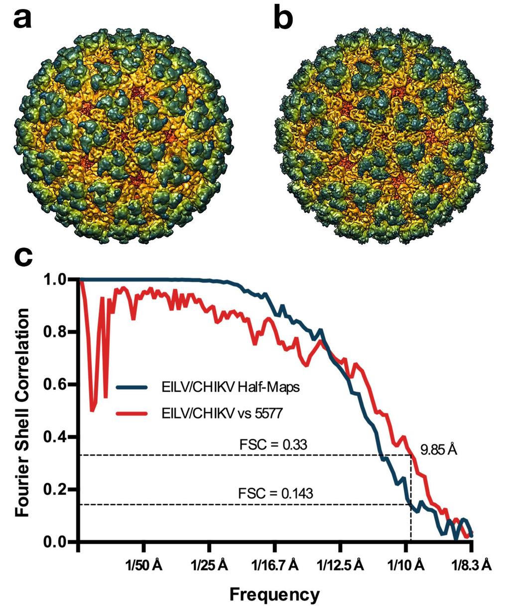 Supplementary Figure 1. Structural comparison of EILV/CHIKV and CHIKV VLP EMD-5577. (a) Cryo-EM reconstruction of EILV/CHIKV.