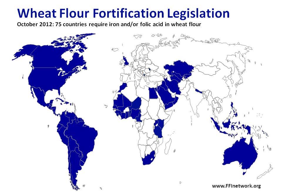 All countries in blue fortify flour with iron and folic acid except Australia which does not include iron, and Venezuela,