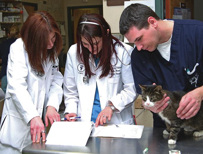 STEP 5: Team Roles CLINICAL SUITE FELINE CHRONIC KIDNEY DISEASE Team Roles TEAM MEMBER ROLE RESPONSIBILITIES RECEPTIONIST Immediate contact with a welcoming, attentive attitude to ensure client