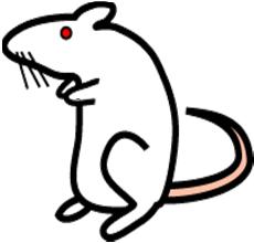 Mouse inoculation test (MIT) observed daily