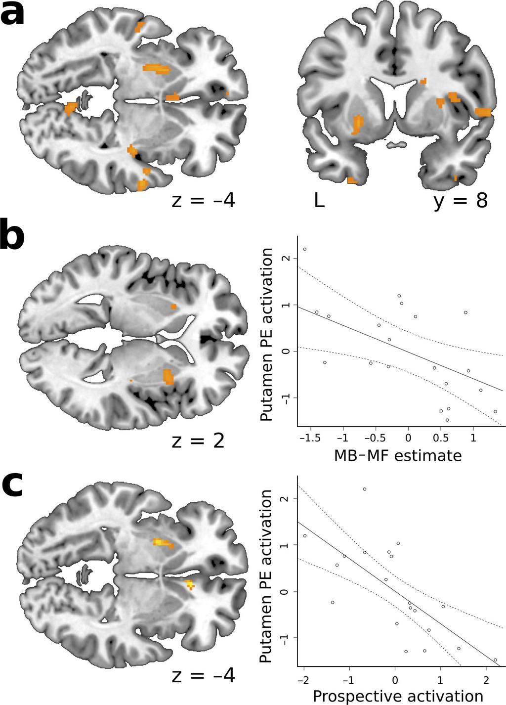 Doll et al. Page 24 Figure 5. Neural evidence of model-free prediction errors (PEs), and correlates of PE with model-free behavior.a. Putamen BOLD response correlates with model-free prediction errors that accompany state transitions (peak: 24 8 4, P=0.