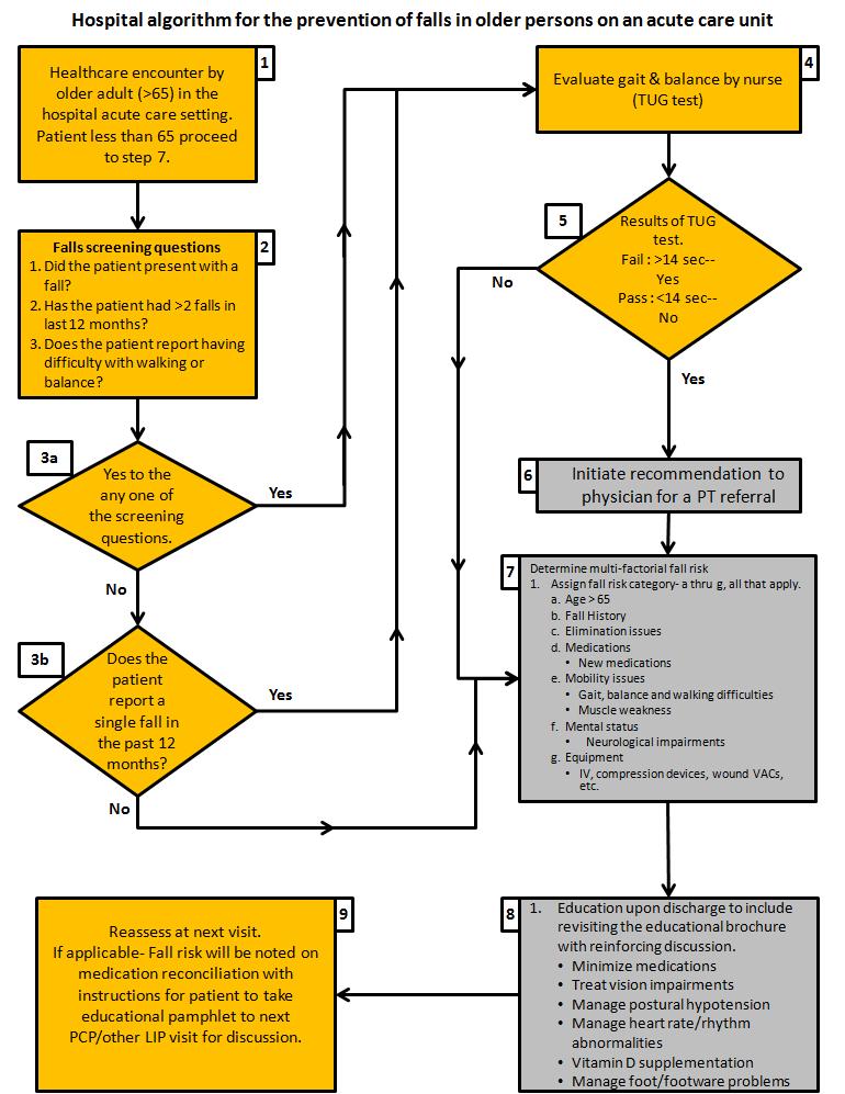 Adapted algorithm Page 4 of Handout Adapted from the Summary of the updated American Geriatrics Society/British Geriatrics Society by American