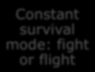 Constant survival