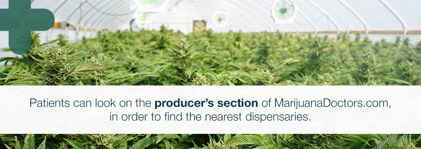The Producer's Section of MarijuanaDoctors.