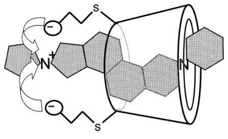 Sugammadex (Bridion ) Modified γ-cyclodextrin with 8 sugar molecules Designed to encapsulate rocuronium and antagonize its pharmaceutical effects Several case reports