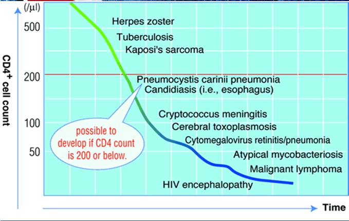 CD4 Cell Count