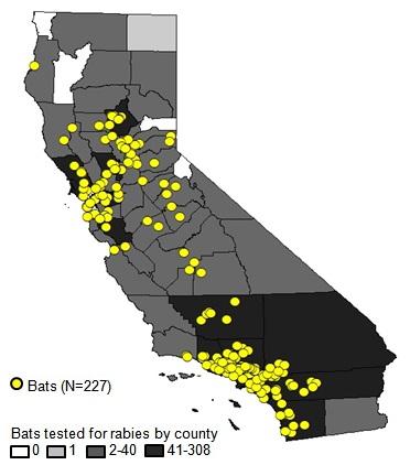 Figure B. Cases of rabies in bats by address of collection, California, 2012.