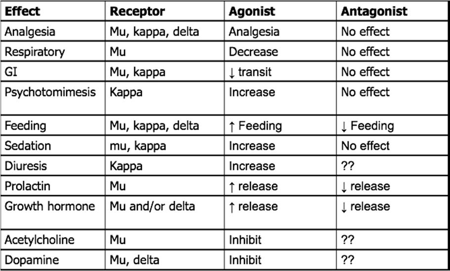 Opioid Receptors μ mu (MOR) κ kappa (KOR) δ delta (DOR) N/OFQ (Noceptin) Commercially Available Opioids Pure MOR (mu) agonists morphine, methadone, codeine, hydrocodone, fentanyl, oxycodone,
