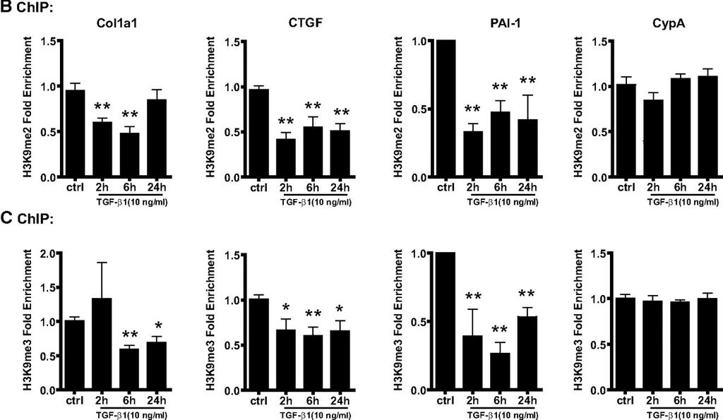 TGF-β1 decreases H3K9me2/3 at fibrogenic gene promoters in