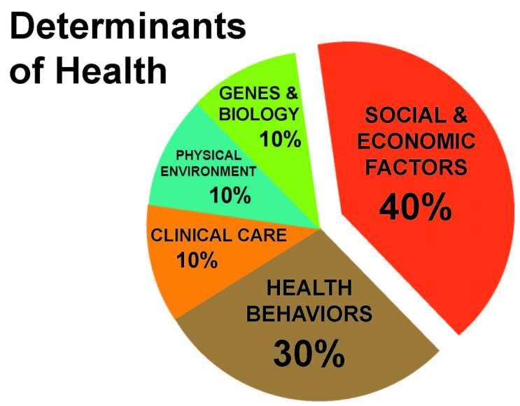 Social Determinants of