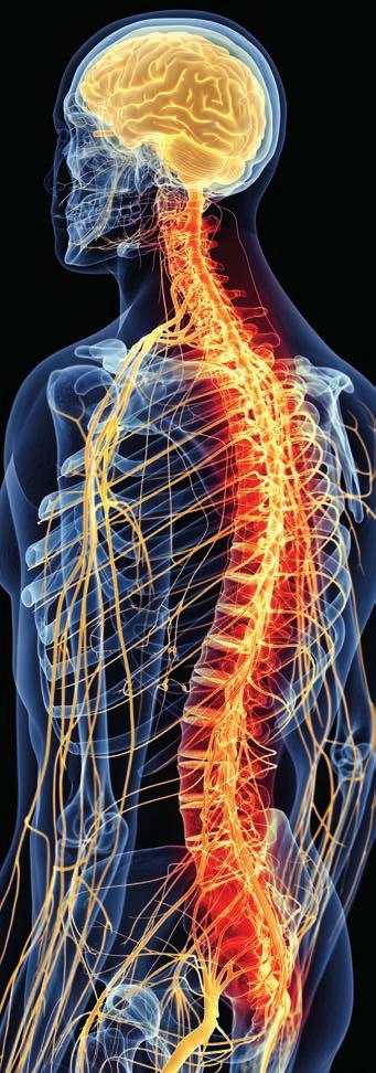 10 School of Sport, Exercise and Rehabilitation Sciences Spinal Pain MRes Start date: September or January Duration: 1 year full-time, 2 years part-time UK/EU 4,270 full-time, International 17,520