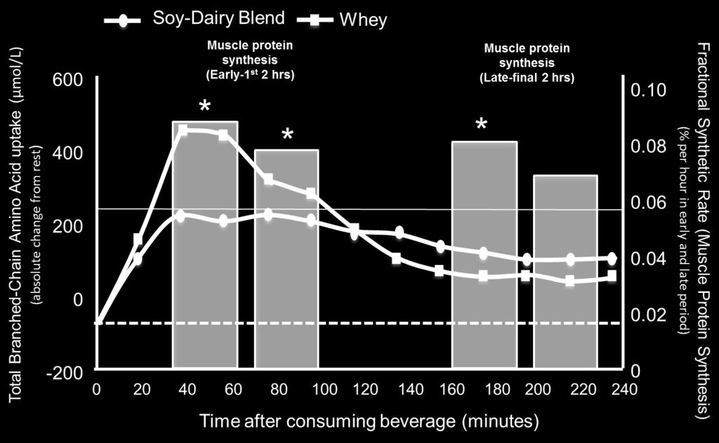 Only the soy-dairy blend maintained higher muscle protein synthesis during the last 2 hours measured. Soy-dairy blend vs.