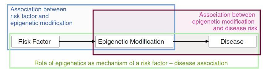 Understanding whether epigenetic processes are a mediating mechanism linking an