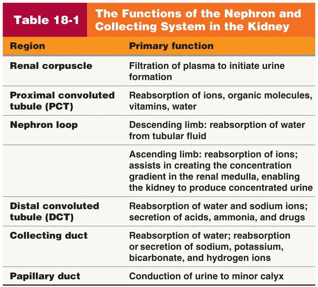 Table 18-1 The Functions of the