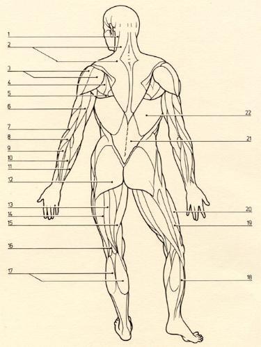 Day Month Year Using symbols below, mark on body diagram: X = Pain O = Numbness Z = Tingling / = Other Using the line scale, indicate the severity of the pain you are experiencing now by circling a