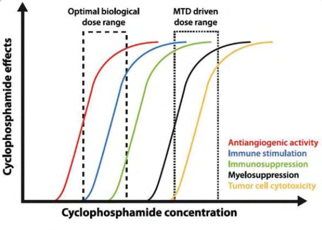 Hypothetical dose response curves for different effects of cyclophosphamide When given at the optimal biological dose, metronomic CTX results in antiangiogenic and immunostimulatory effects.