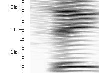 wide-band spectrogram at high frequencies