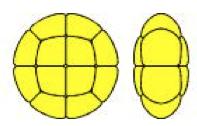 Tetrahedral Tetrad Multiplanar tetrad with each unit in