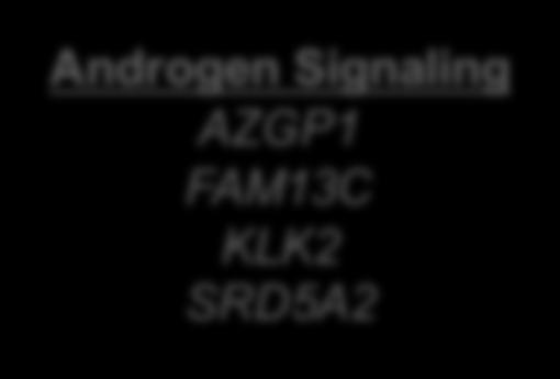 SFRP4 Androgen Signaling