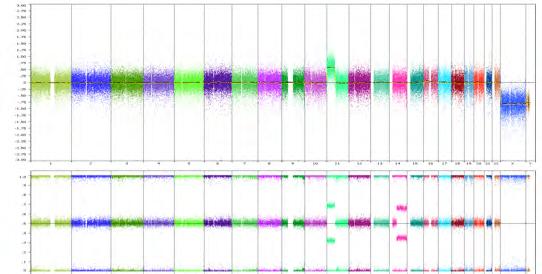 SNP arrays Copy number changes Allele peak Mutation data