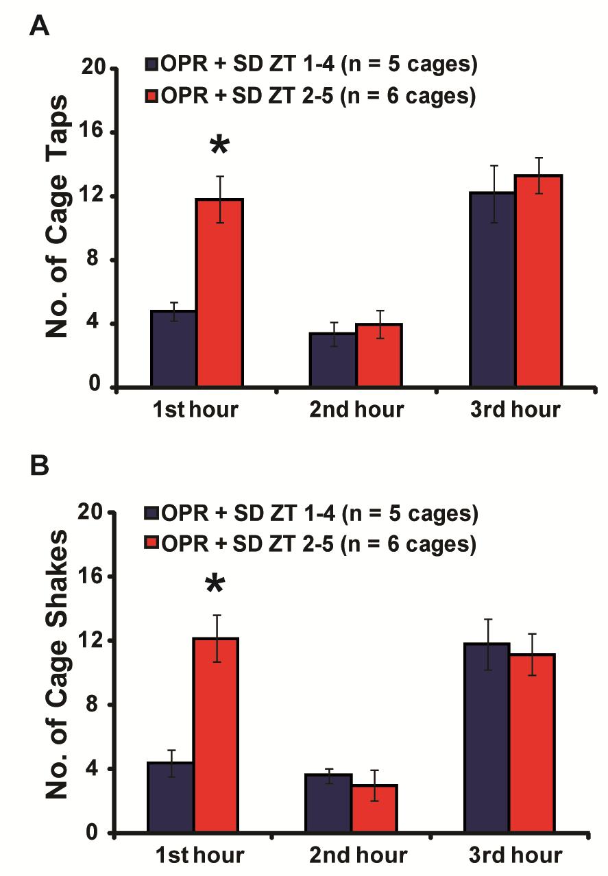 FIGURE 2.8. Figure 2.8. The early sleep deprivation group requires less disturbance to achieve a wakeful state in the 1 st hour of SD than the SD ZT 2-5 group.