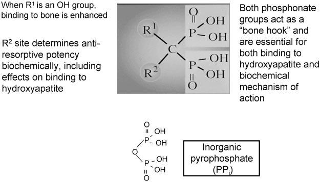 FIGURE 1 The generic structure of pyrophosphate compared with bisphosphonates and their functional domains.