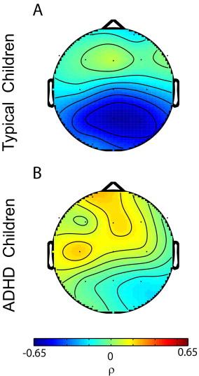 Mazaheri et al (2010): Lookedat cueinduced functional connectivity in typically developing children and children with ADHD frontal theta to posterior alpha Figure 4.