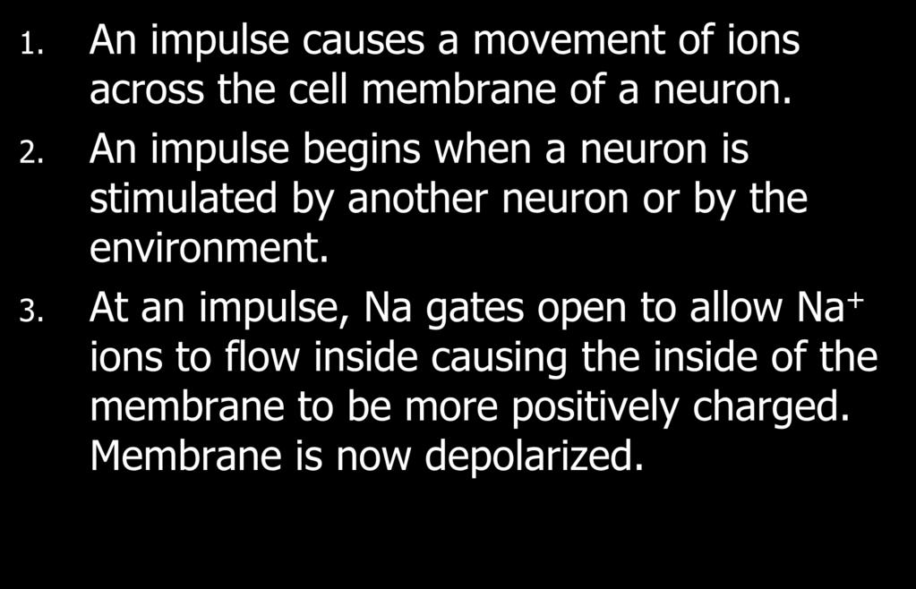 III. The Moving Impulse 1. An impulse causes a movement of ions across the cell membrane of a neuron. 2.