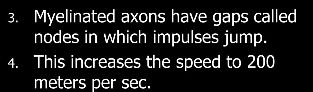 3. Myelinated axons have gaps