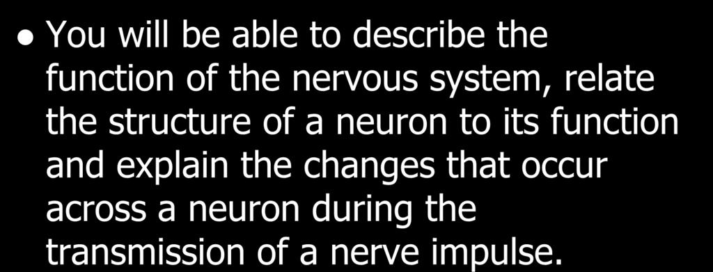 neuron to its function and explain the changes that